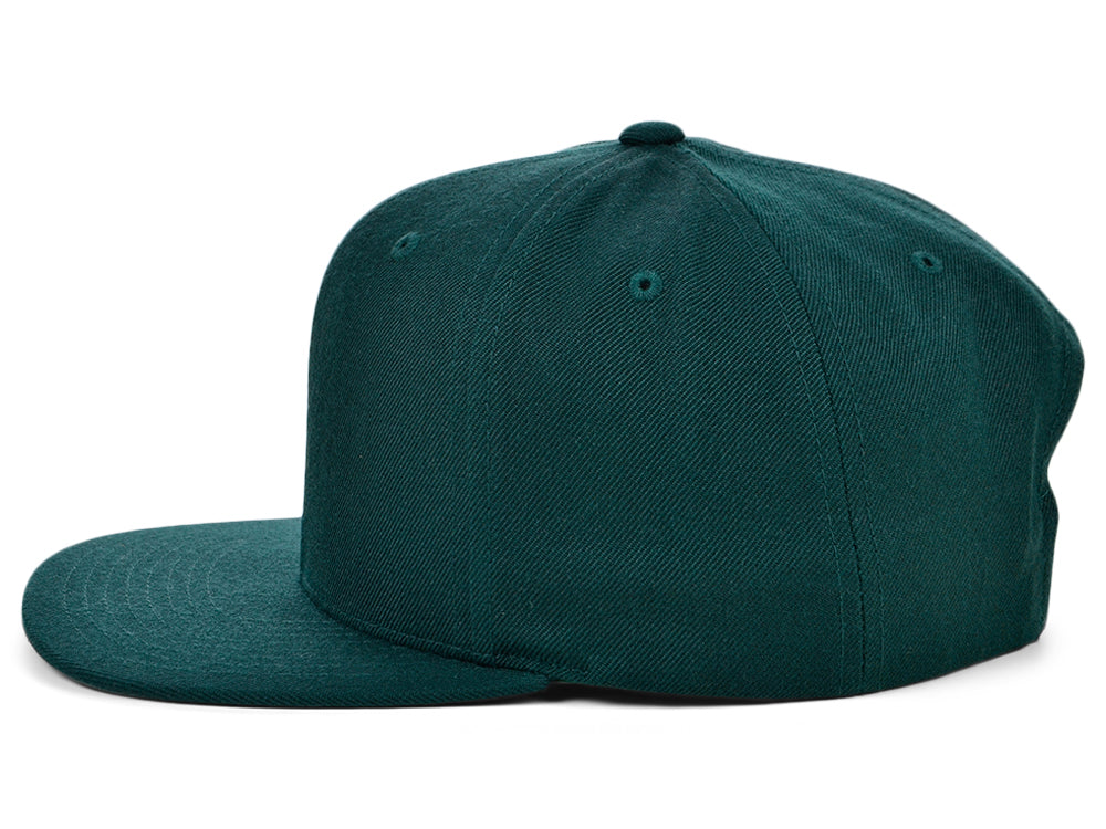 Snapback 14 - Spruce